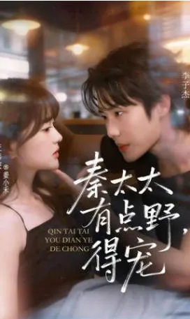 秦太太有点野得宠爽文短剧合集