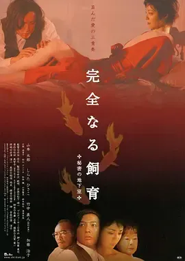 完美宠物：秘密地下室